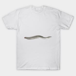 European Eel T-Shirt